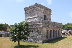 Tulum #36