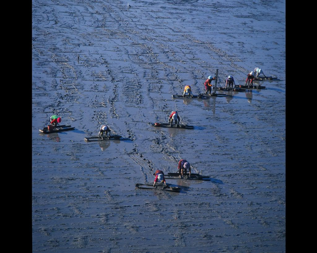 ON THE MUDFLAT