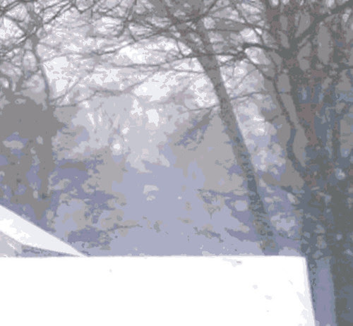 Roof Top and Trees in Snow Storm  (Digital Woodcut) by randubnick