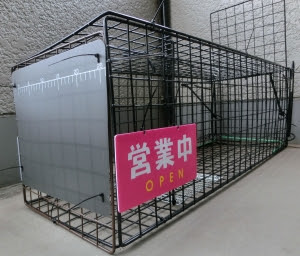 簡単猫罠 捕獲器 作り その2 改良 猫罠ブログ How To Trap A Cat