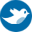  photo twitter1_zpsd1a4ba1e.png