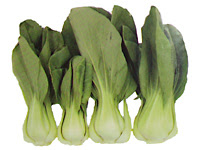 Bok Choy Pappu