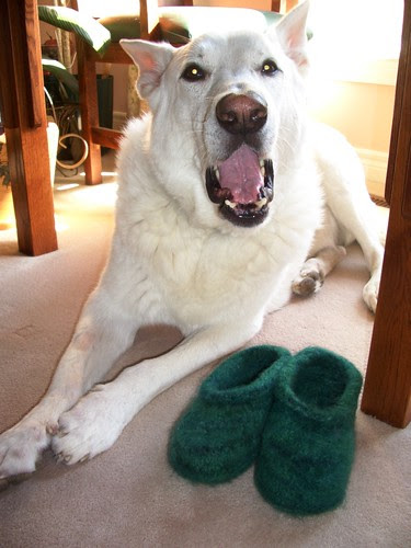 Sam and felted slippers-1