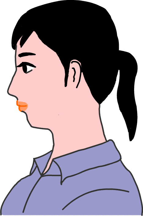 女性 横顔 イラスト 無料