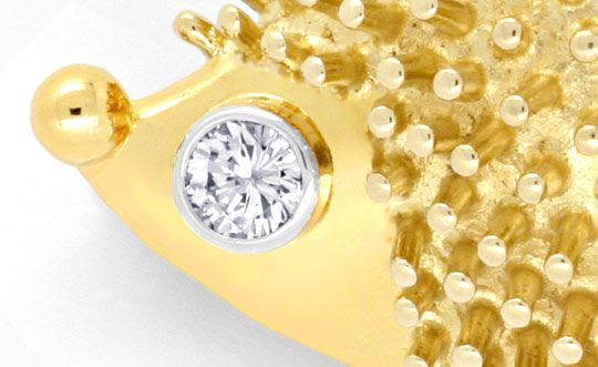 Originalfoto IGEL-BROSCHE NADEL BRILLIANT RIVER LUPENREIN