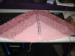 Progressing....Stripe 3