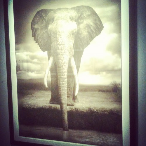 nick brandt at fotografiska