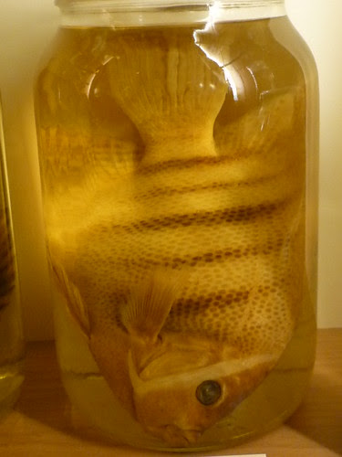 P1440109