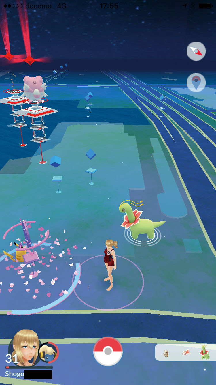 ポケモンgo プレイ中に撮れたおもしろ画像 珍画像 ロシア人彼女と日本人彼氏の遠距離恋愛ブログ