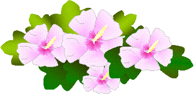 むくげ みっくす がーでん花館 楽天ブログ
