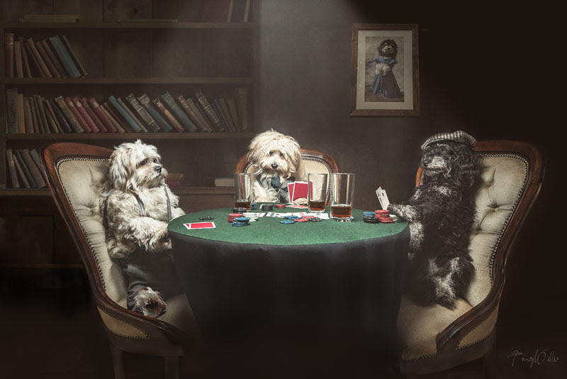 The Players