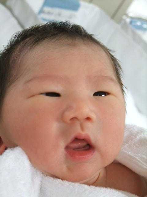 最高のコレクション 新生児 ガッツ石松 赤ちゃん