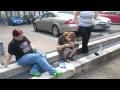 Wünsche Zum Geburtstag Kollegin, Caritasverband...