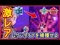 [最も人気のある！] ポケモン 剣盾 ボール 捕獲率 167602-ポケモン 剣盾 ボール 捕獲率