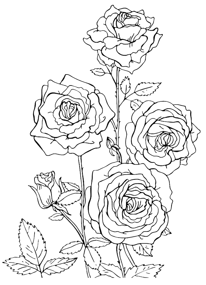 Printable Aesthetic Coloring Pages - Intermediate Animal Coloring Pages - Coloring Home : Create color palettes with the color wheel or image, browse thousands of color combinations from the adobe color community.