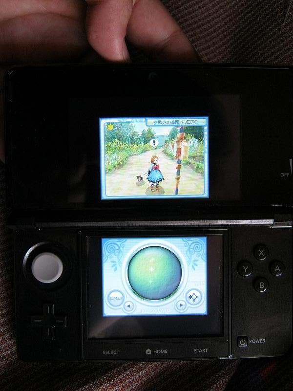 絶対simple主義 ３ｄｓレポ ３ｄｓでｄｓソフトを遊ぶ時の注意