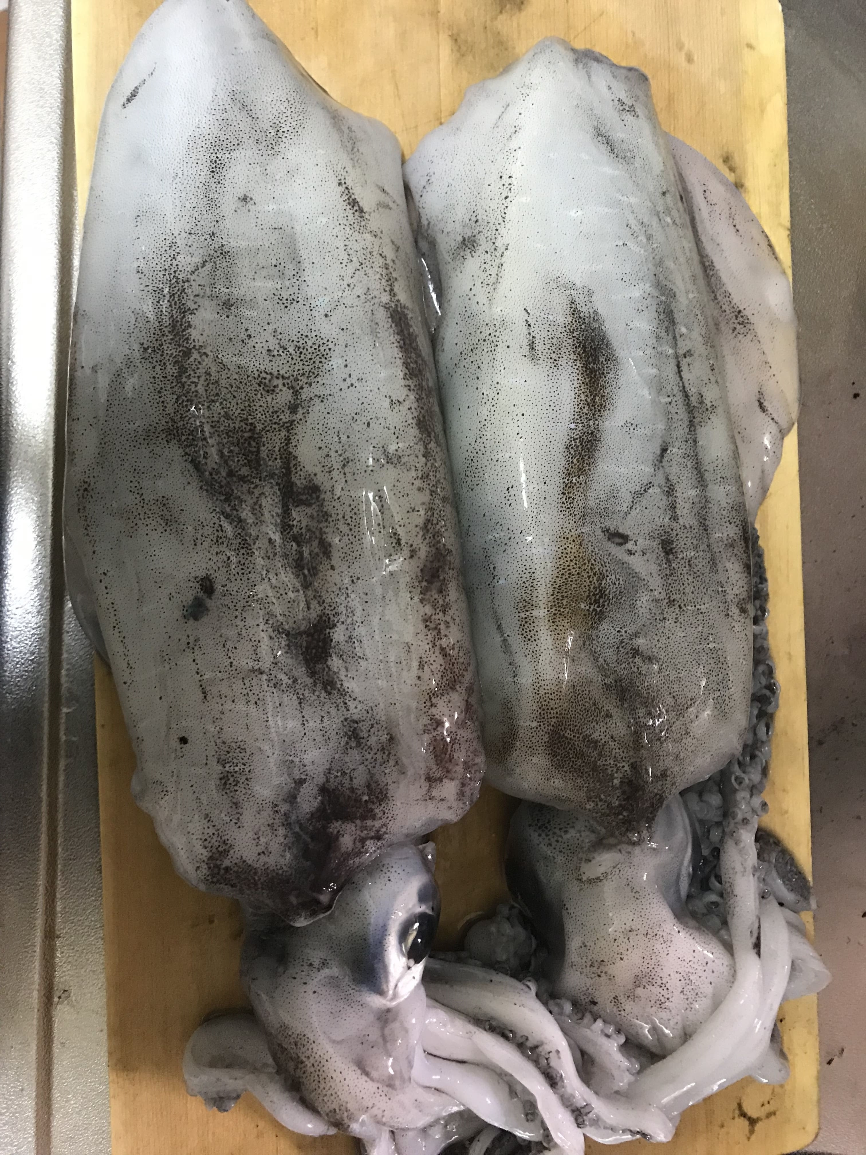アオリイカの簡単な捌き方とアオリイカと里芋のにっころがしの美味しく簡単な作り方 ヒラマサとアオリイカを求めて