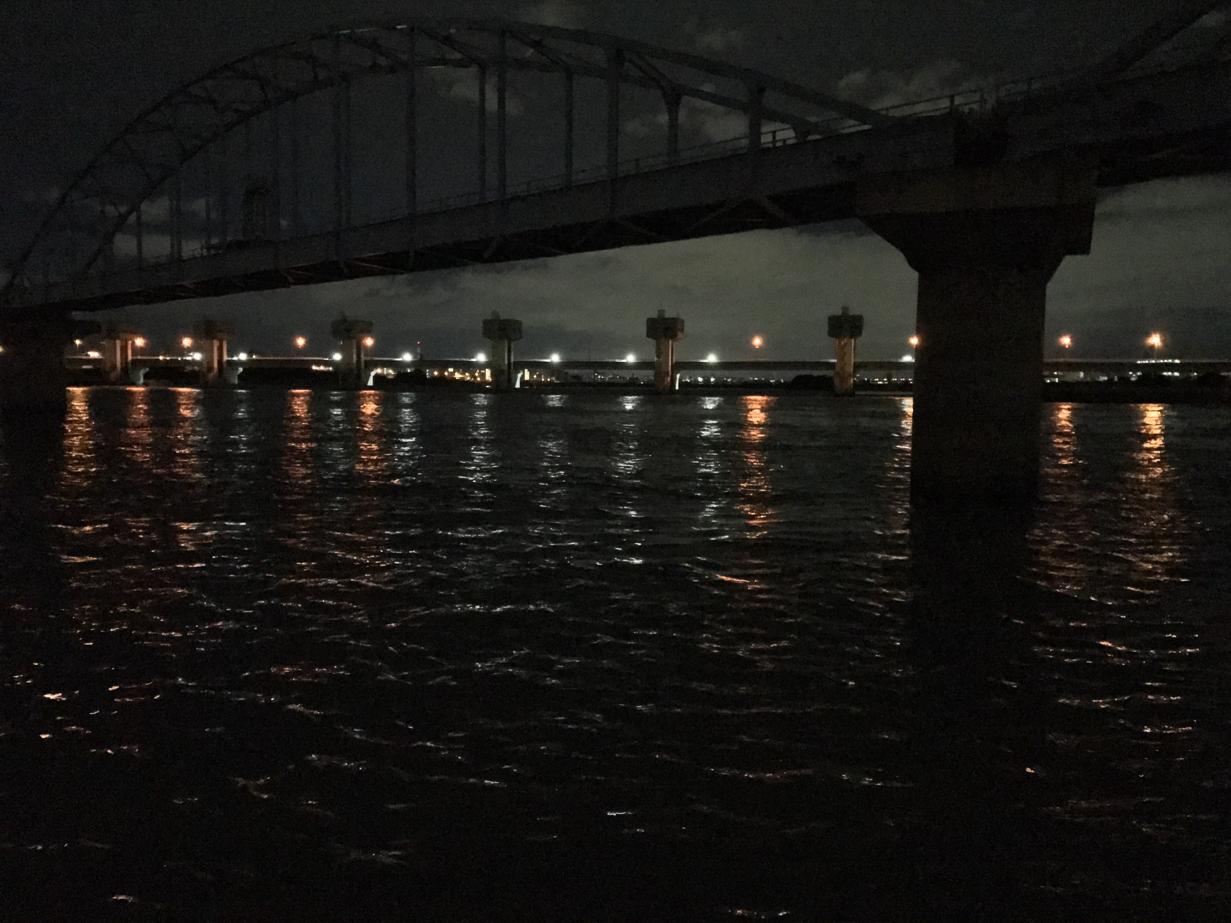 釣行記 雨上がりの淀川大堰へ行ってきた こもチックの釣りブログ 仮