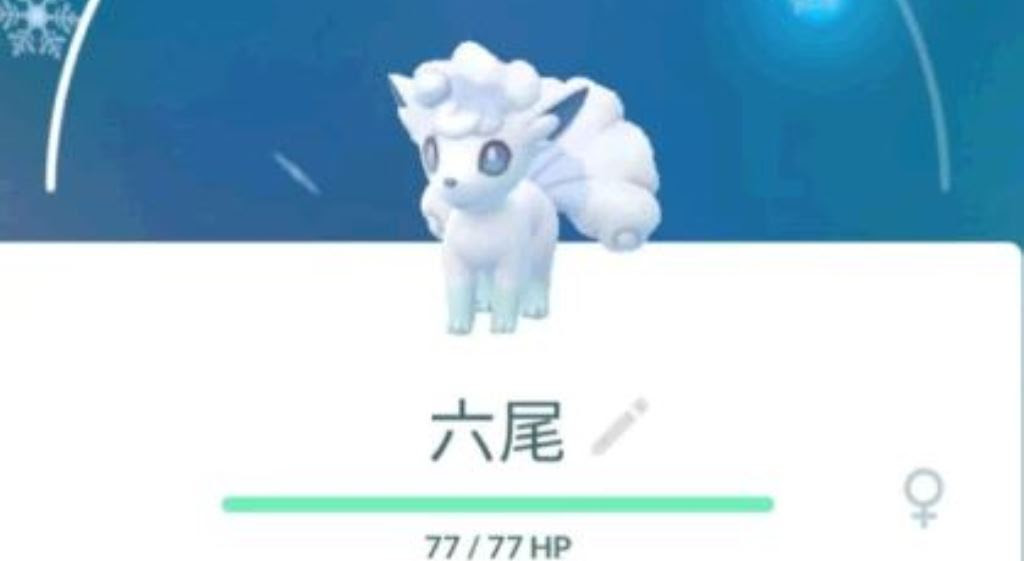 目前任務獲得的阿羅拉六尾沒有色違bug 湯姆群情報站