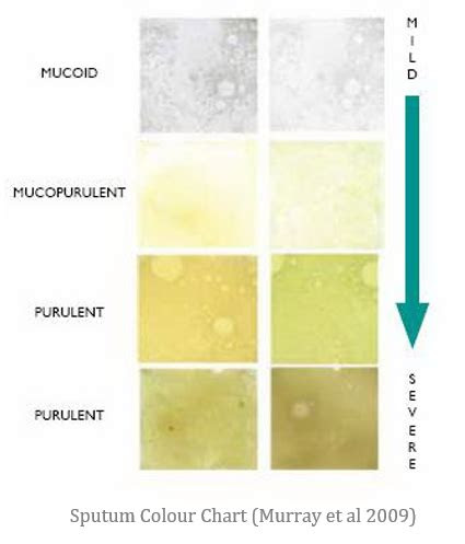  phlegm color chart truecfiles inhaler colors chart uk inhaler devices