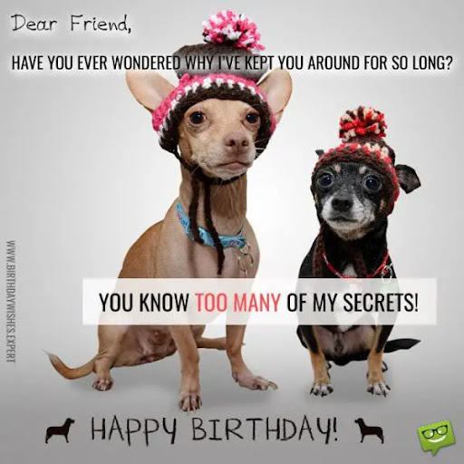 Birthday Meme Funny Friend