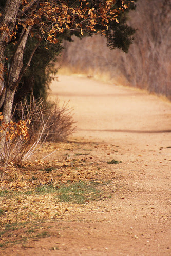 path_sm