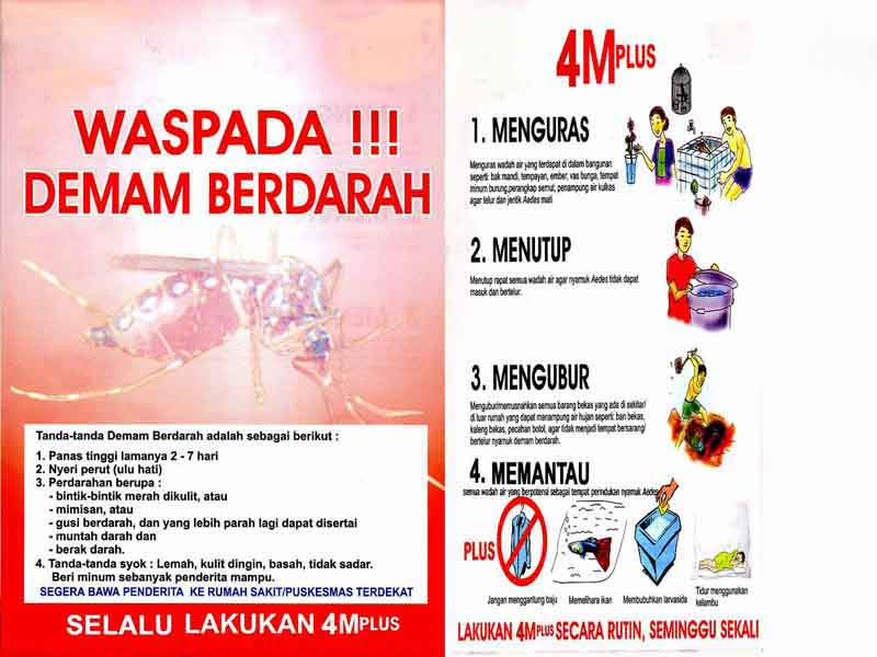 Sakit Demam Berdarah Dengue DBD Ciri Ciri dan Gejala 