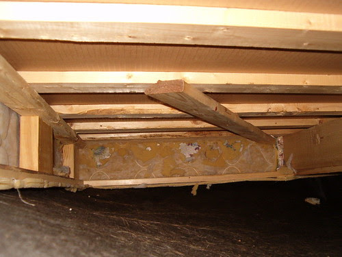 The  CatCave
