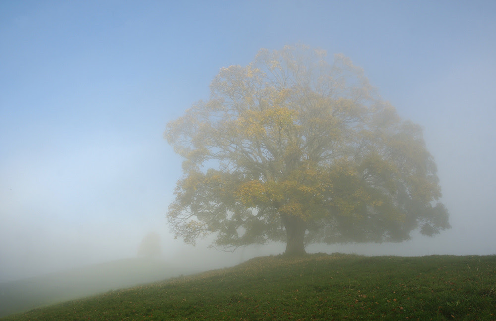 nature photography, view community,