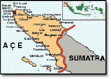 Sumatra Osmanl nn uzaktaki dostu Sumatra Osmanl nn uzaktaki dostu