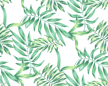ヤシ系植物の葉 No 068 ジャングルの葉の壁紙用イラスト 条件付フリー素材集 スマホなど携帯電話対応