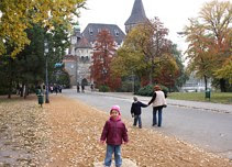 OWL's photo OWL's photo