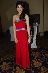 the fashion trends 2011 the fashion trends 2011