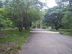 P1022843