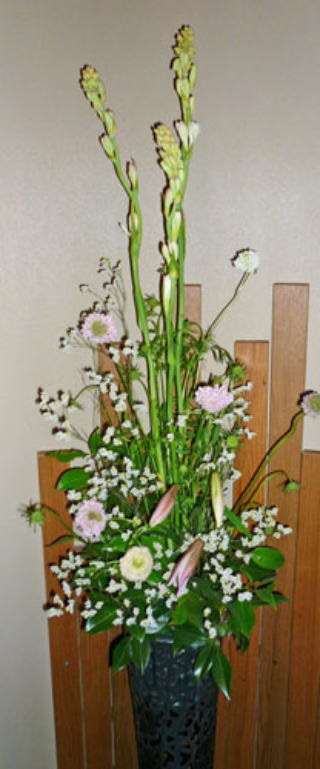 9月17日の誕生花 チューベローズ フラワーギフトのための365日の誕生花