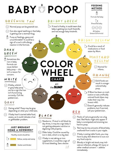  baby poop guide whats normal and whats not