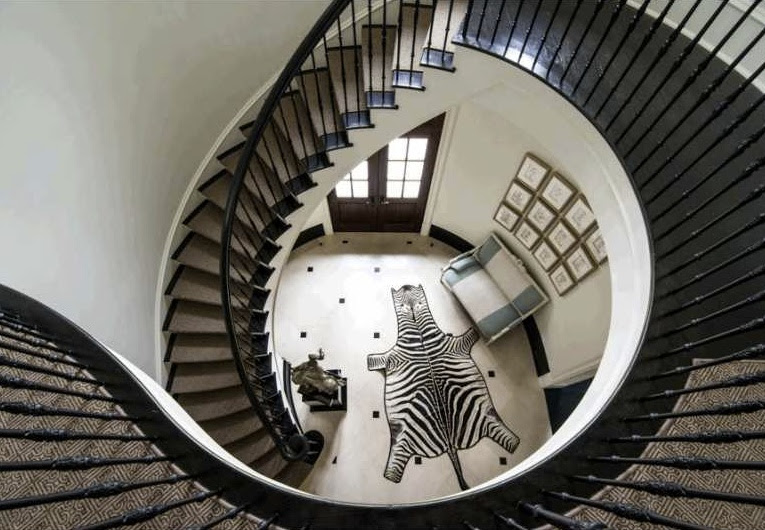 zebrasplat