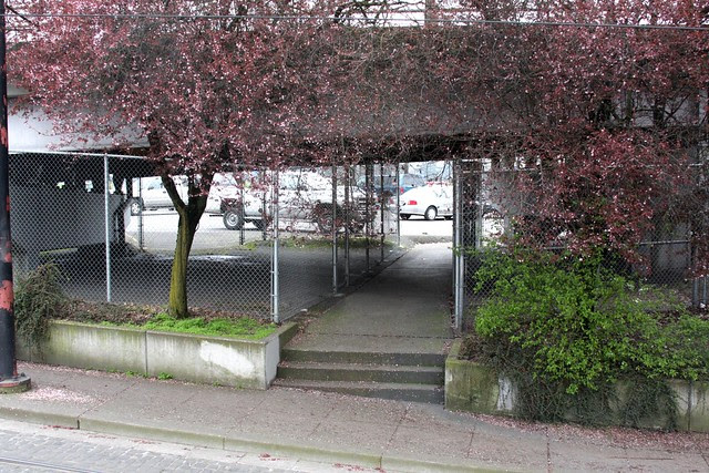 chain link passage, morrison bridge