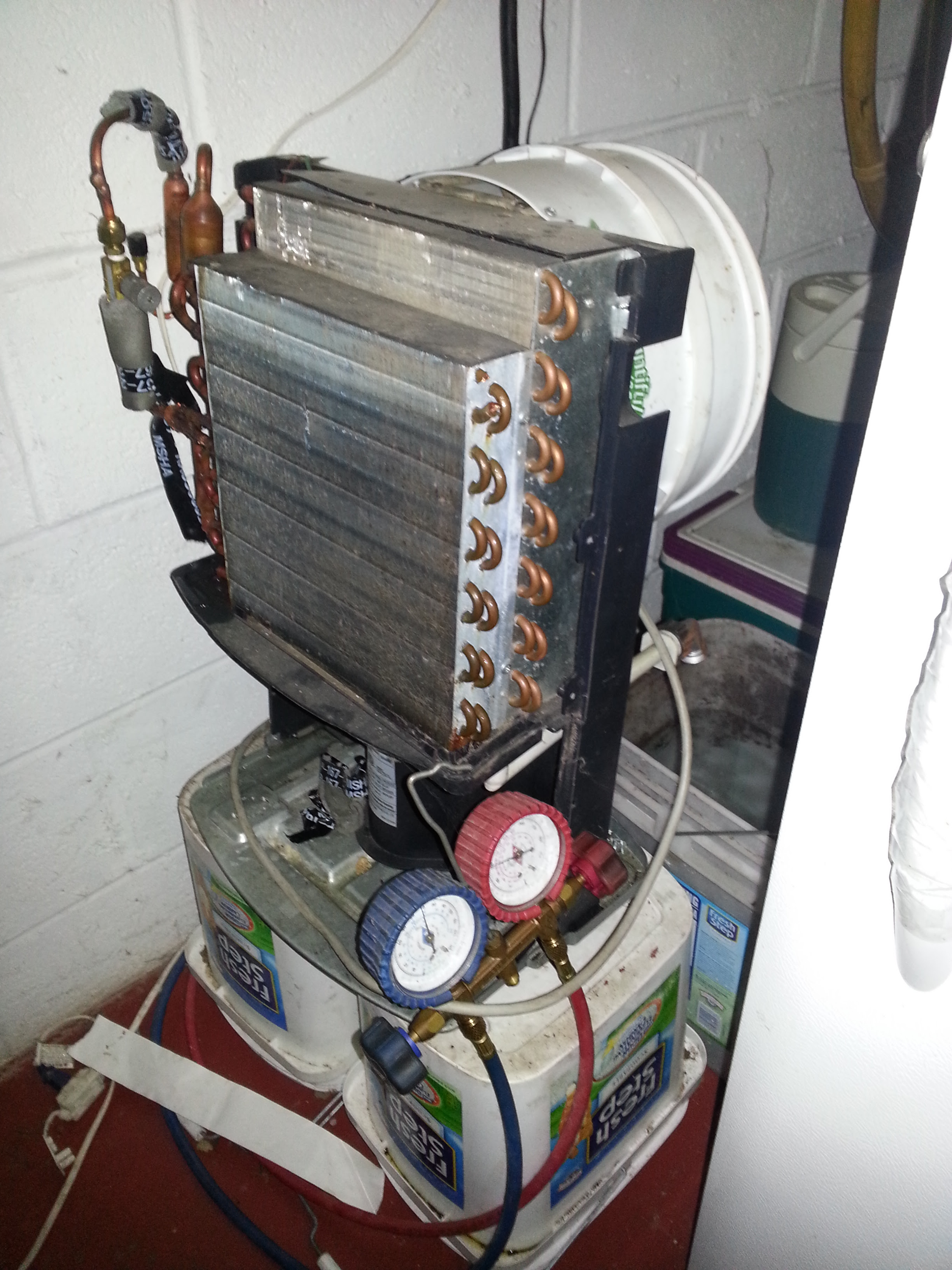 Dehumidifier For Basement Buckeyebridecom