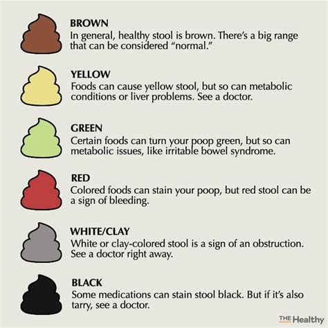 Stool color changes can be caused by diseases or conditions, pregnancy, medications, and diet. types of poop what doctors need you to know the healthy