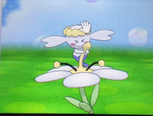 ポケモンバカのブログ 色フラベベ 白