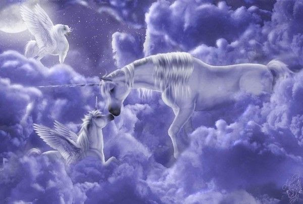 ANIMAUX : chevaux-HORSES