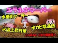 ウーパールーパー 水カビ ���温 235800-ウーパールーパ�� 水カビ 水温