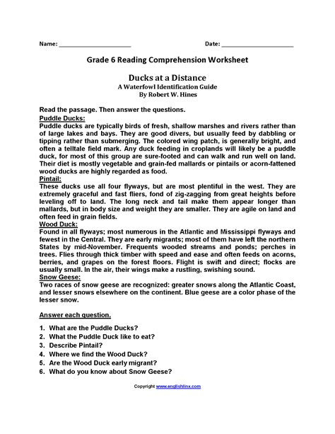 5th grade reading comprehension · the garden. year 6 reading comprehension worksheets printable worksheet