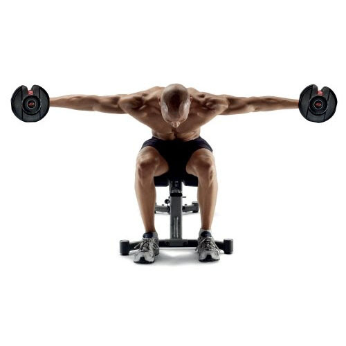 Bowflex SelectTech 552 Dumbbells