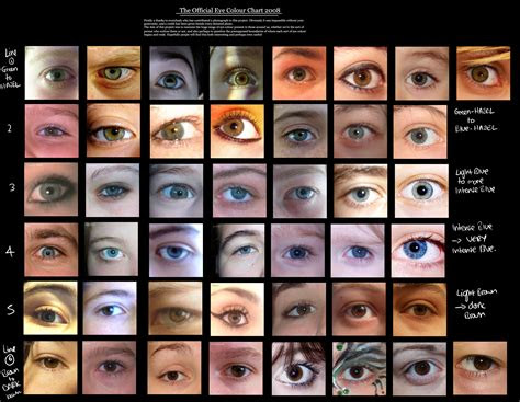 Only 2% of the global population has green eyes but is there an even rarer eye color? human eye color chart the eye sight