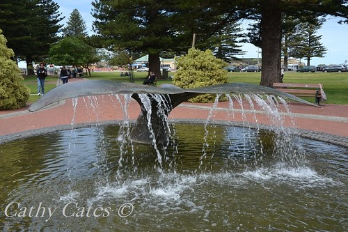 Whale Fin water feature