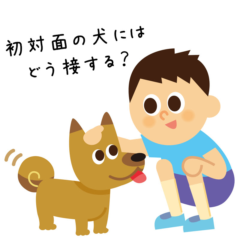 関東6選 犬を飼っていなくても犬とふれあえるオススメスポット