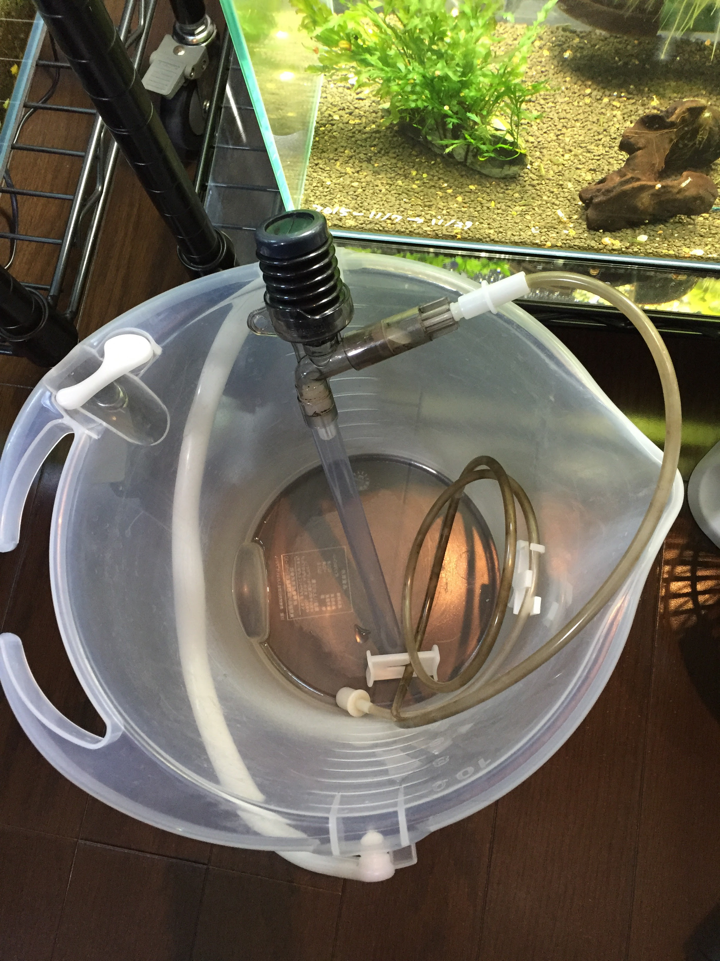 底床掃除 足しソイル いや食べる方じゃなくて