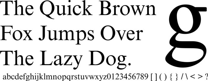 Times-New-Roman-The-Newpape Web Safe Fonts To Use In HTML and CSS